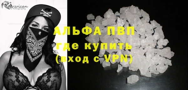 сатива Нефтекумск