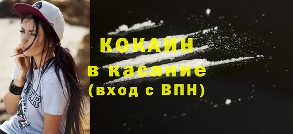 прущие грибы Нея