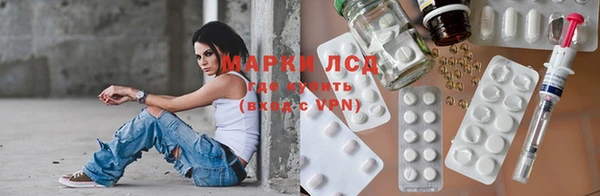 прущие грибы Нея