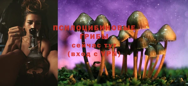 прущие грибы Нея